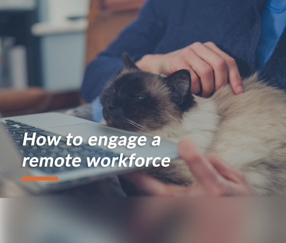 "How to engage a remote workforce" written with a background picture of a dog sitting on a lap of a person in front of the laptop